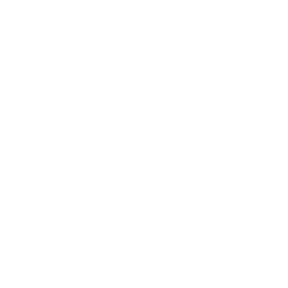Video icon white