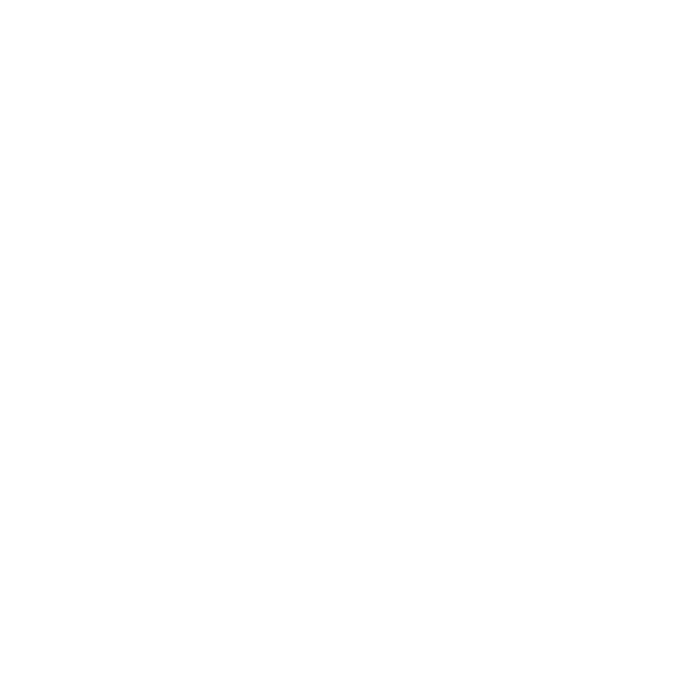 Web icon white