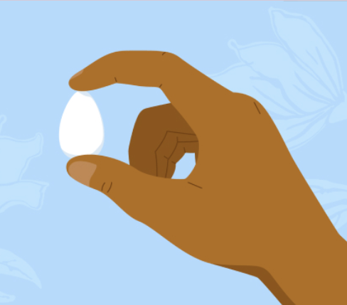 hand holding pessary pill